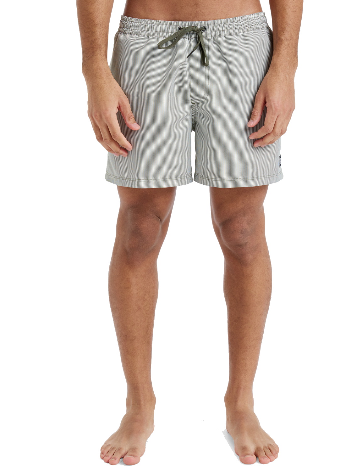 Quiksilver Badeshorts Everyday Deluxe 15" Schwimmshorts Grape Leaf