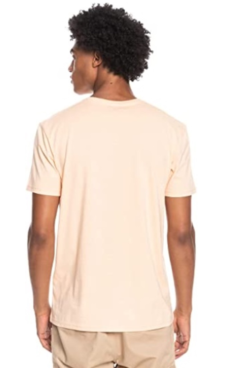 Quiksilver T-Shirt Feeding Line cream