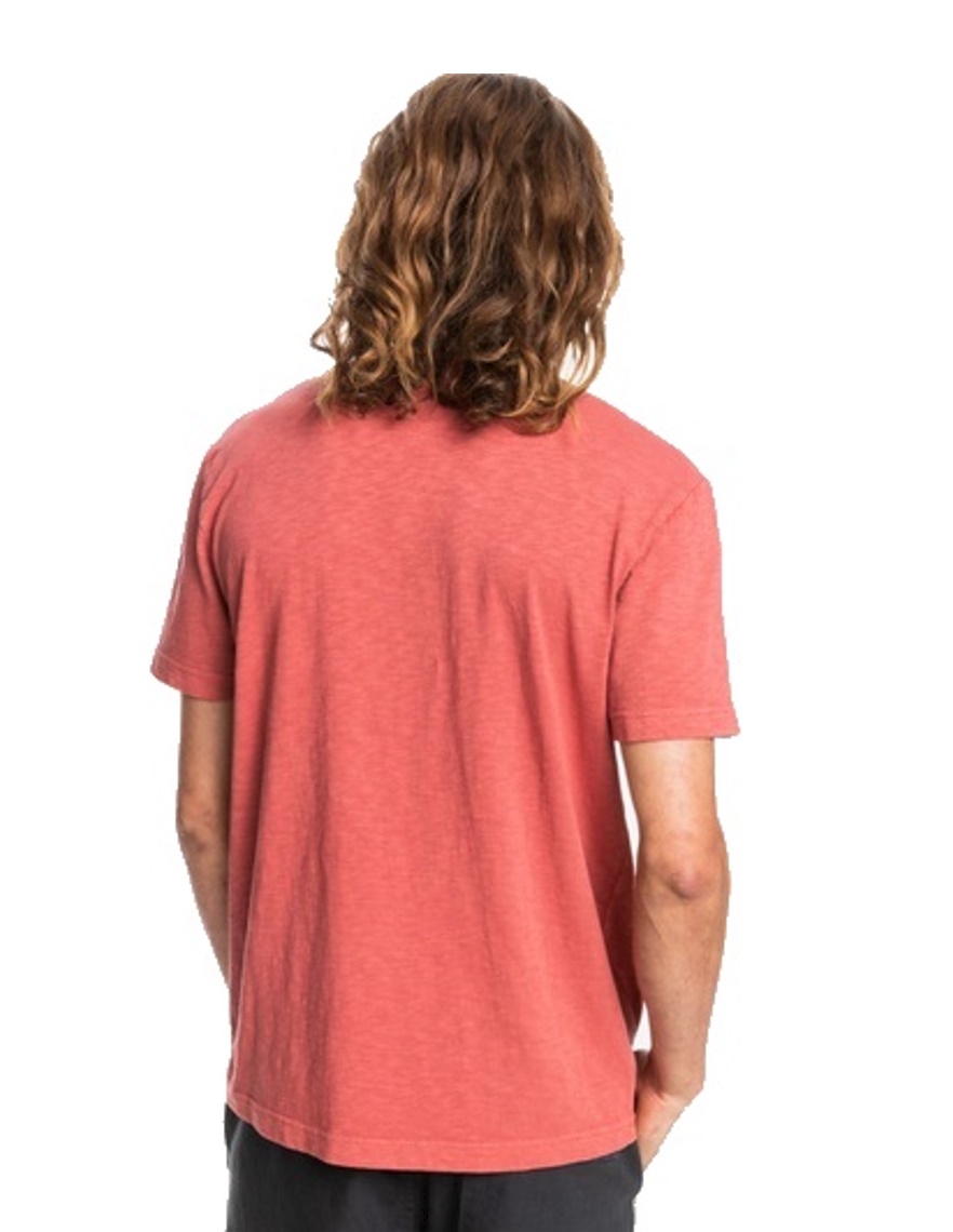 Quiksilver T-Shirt Natural Dye rot