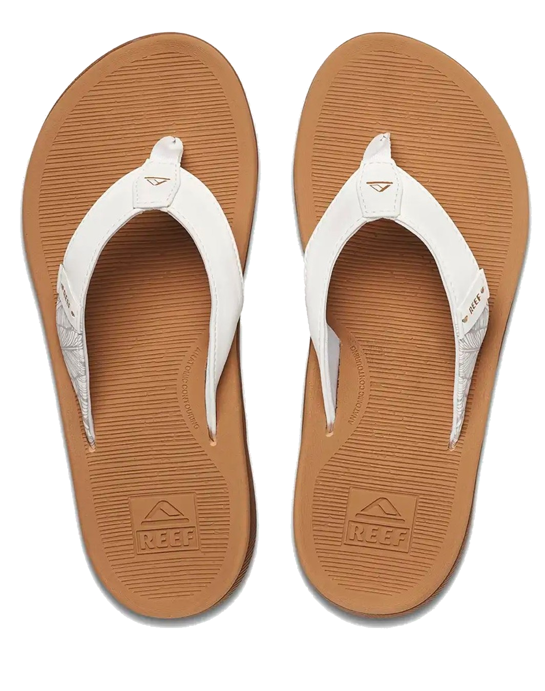 Reef Damen Sandalen Santa Ana cloud