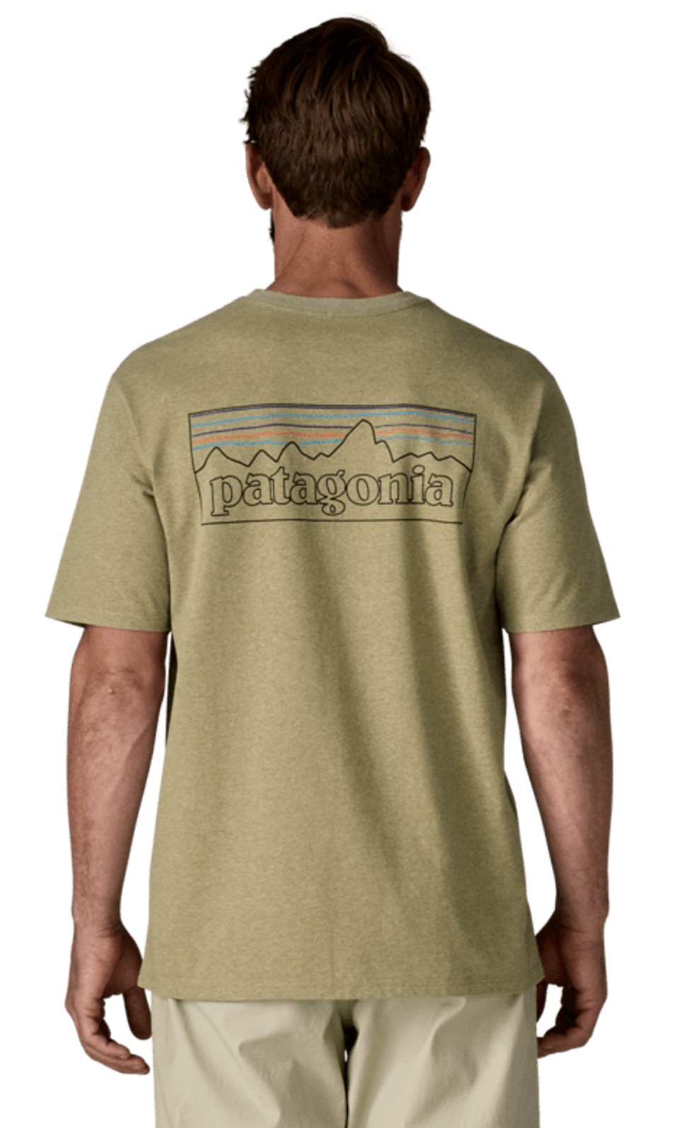 Patagonia Herren T-Shirt P-6 Responsibili Tee Gumtree Green