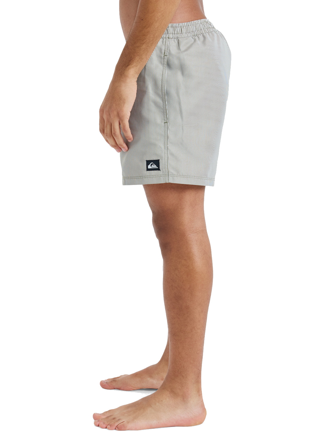Quiksilver Badeshorts Everyday Deluxe 15" Schwimmshorts Grape Leaf