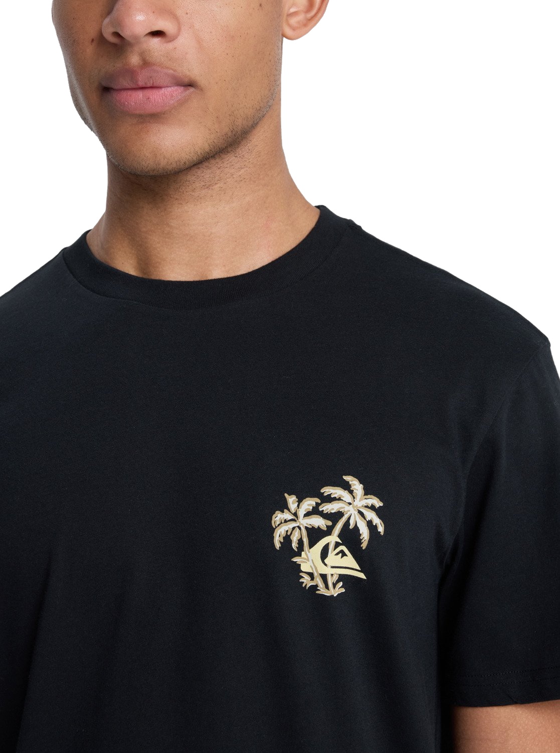 Quiksilver T-Shirt Evo Learning From Nature Black