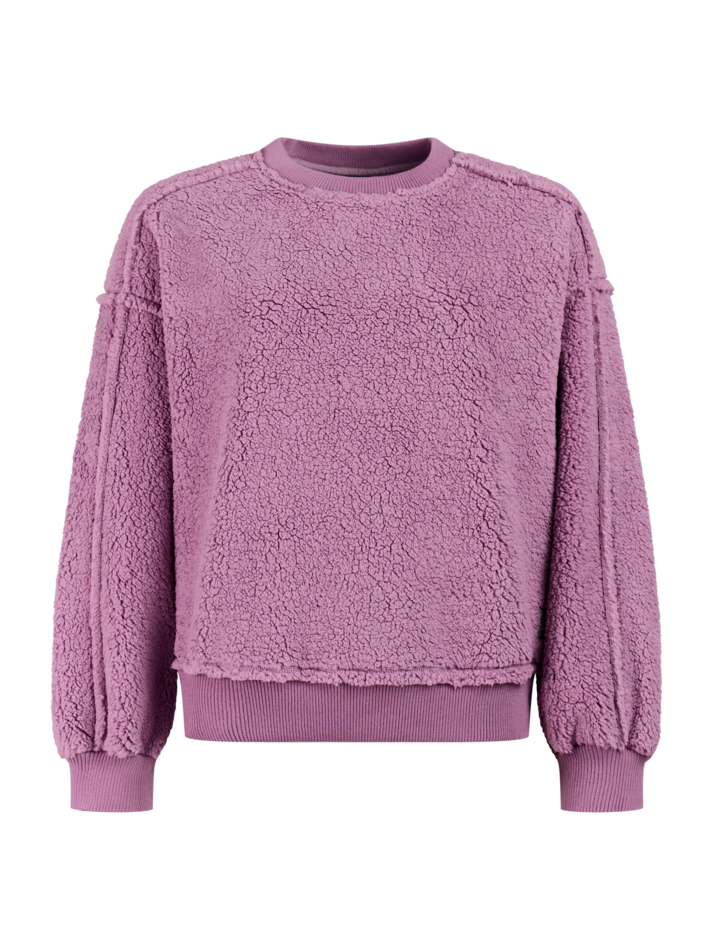 Protest Damen Sweatshirt PRTAidan Valerianlilac