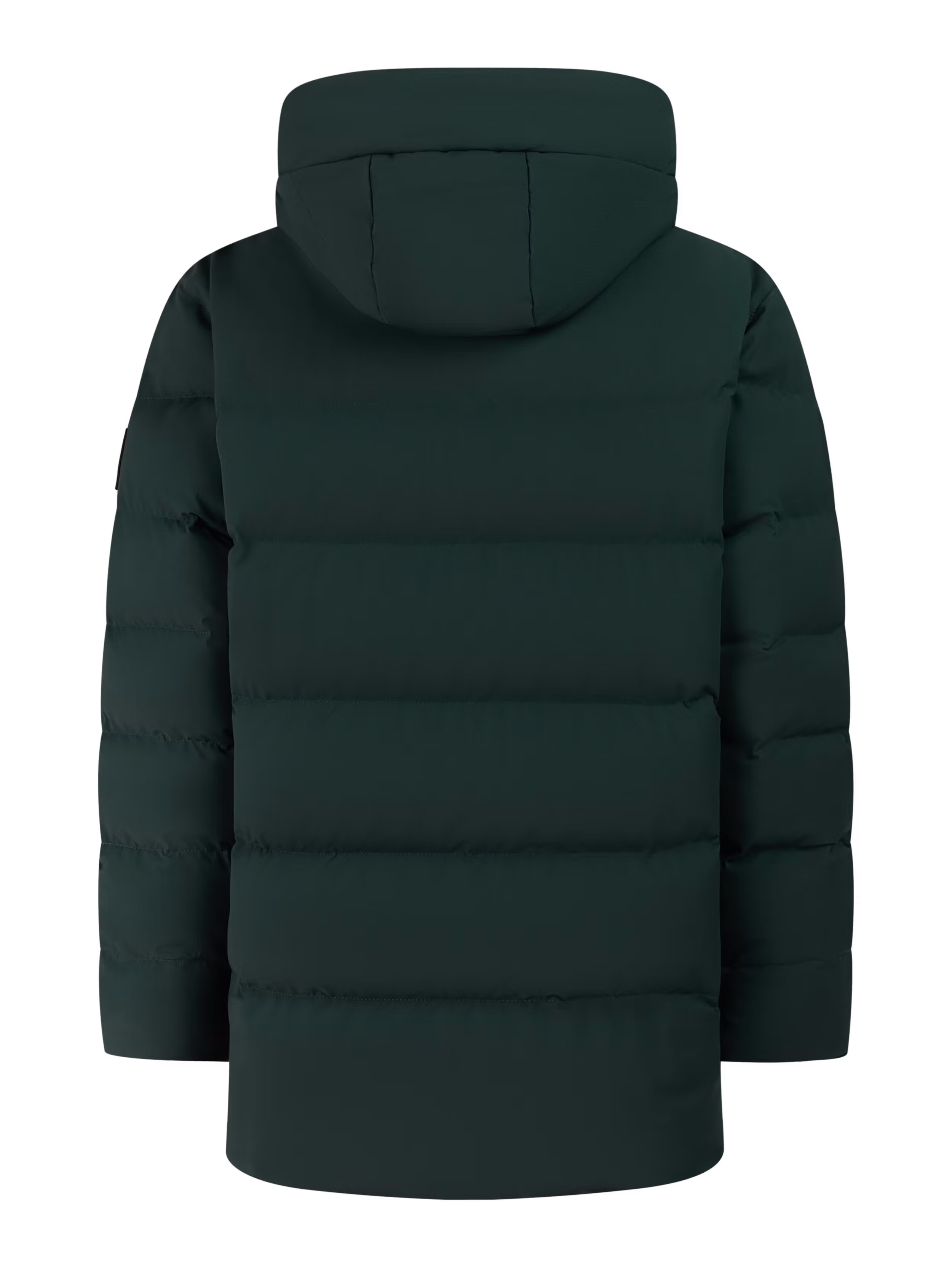 Protest Kinder Schneejacke PRTWooky Kombu green